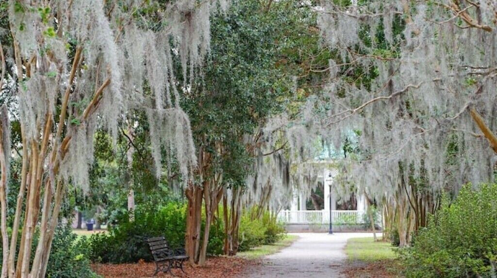 Photo of Outdoor in Charleston