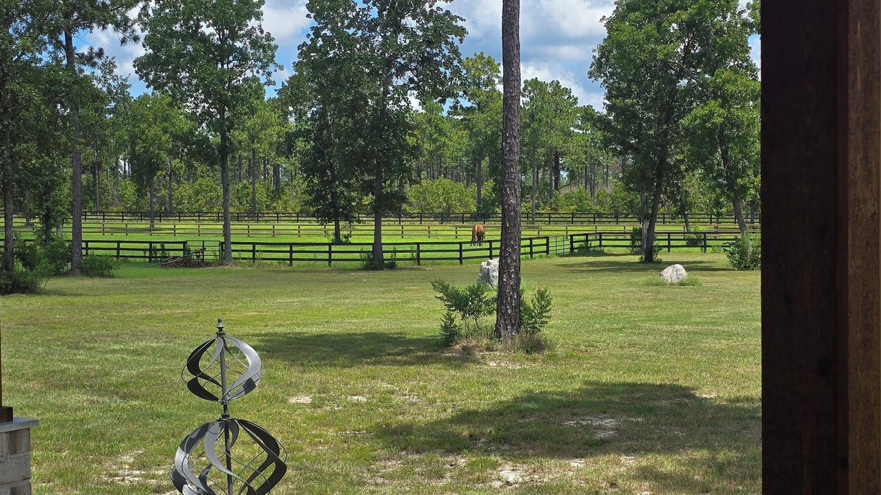 Photo of Outdoor in Aiken
