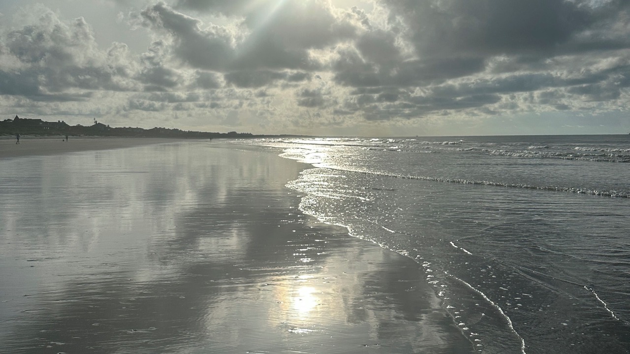 Photo of Others in West Beach