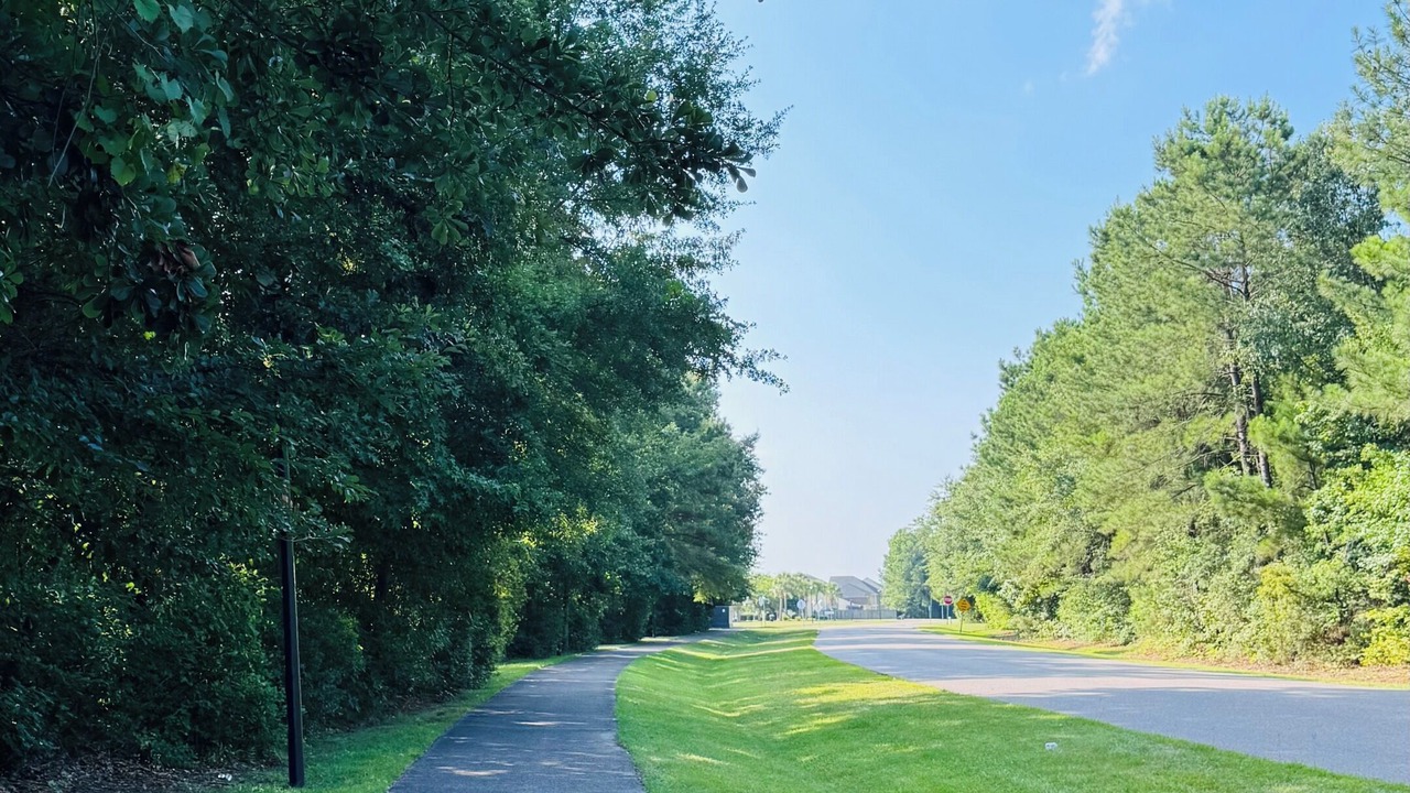 Photo of Others in Ladson