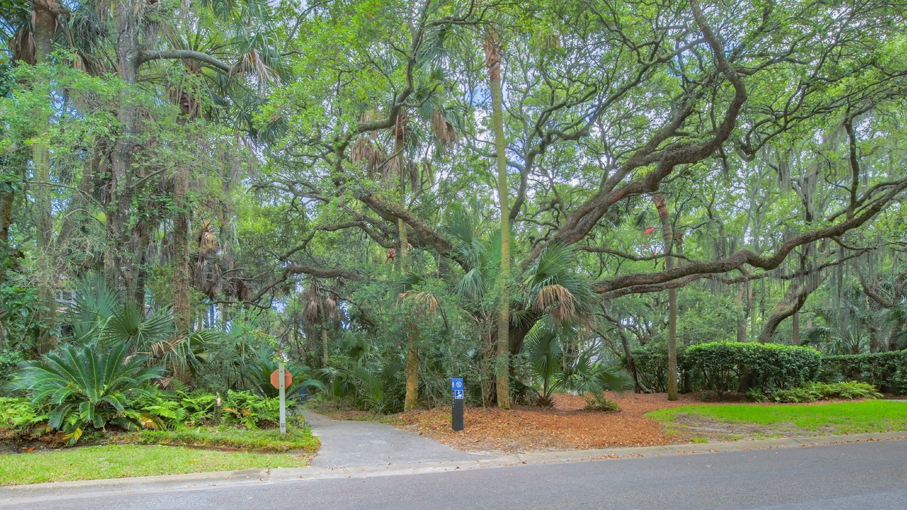 Photo of Others in West Beach