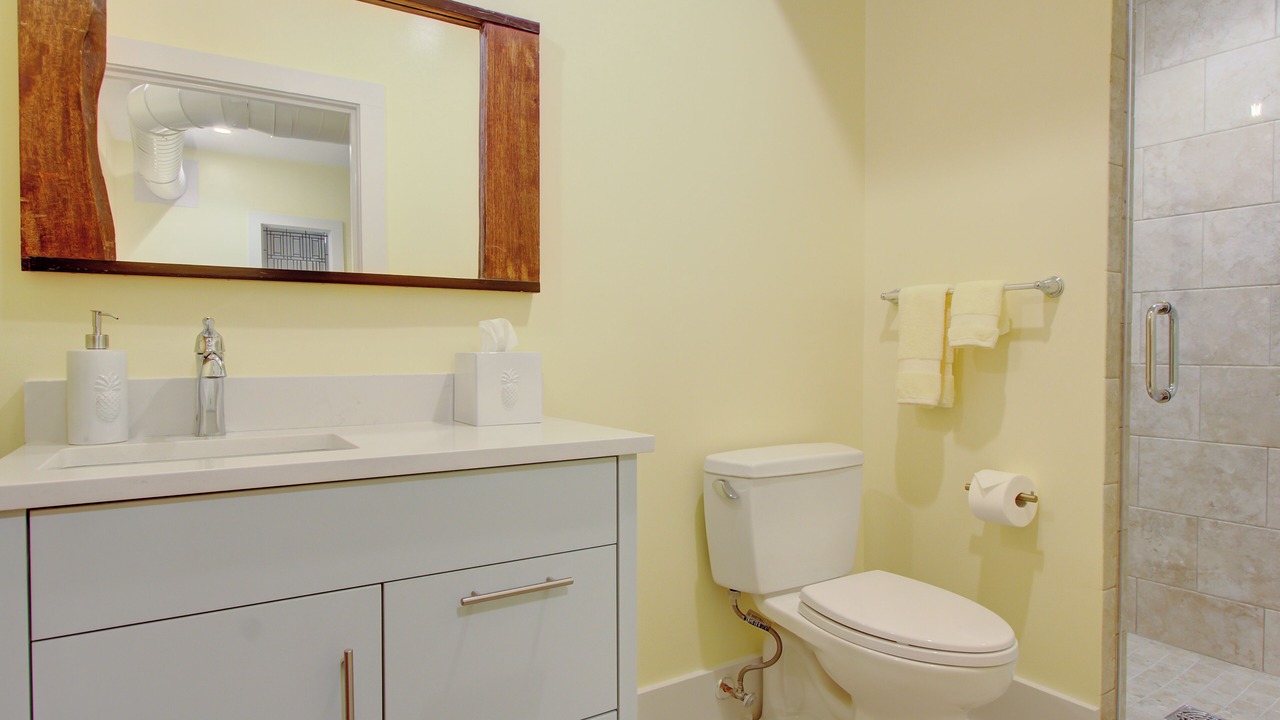 Photo of Bathroom in Charleston Historic District