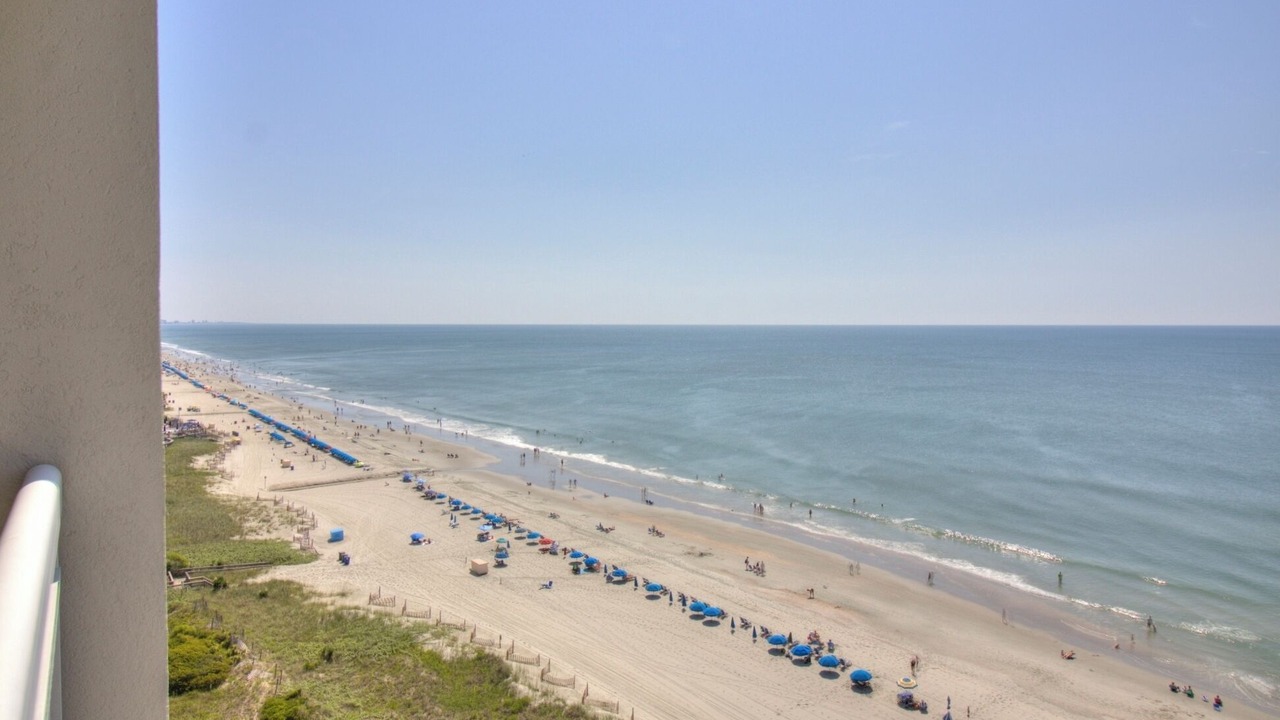 Photo of Others in Arcadian Shores
