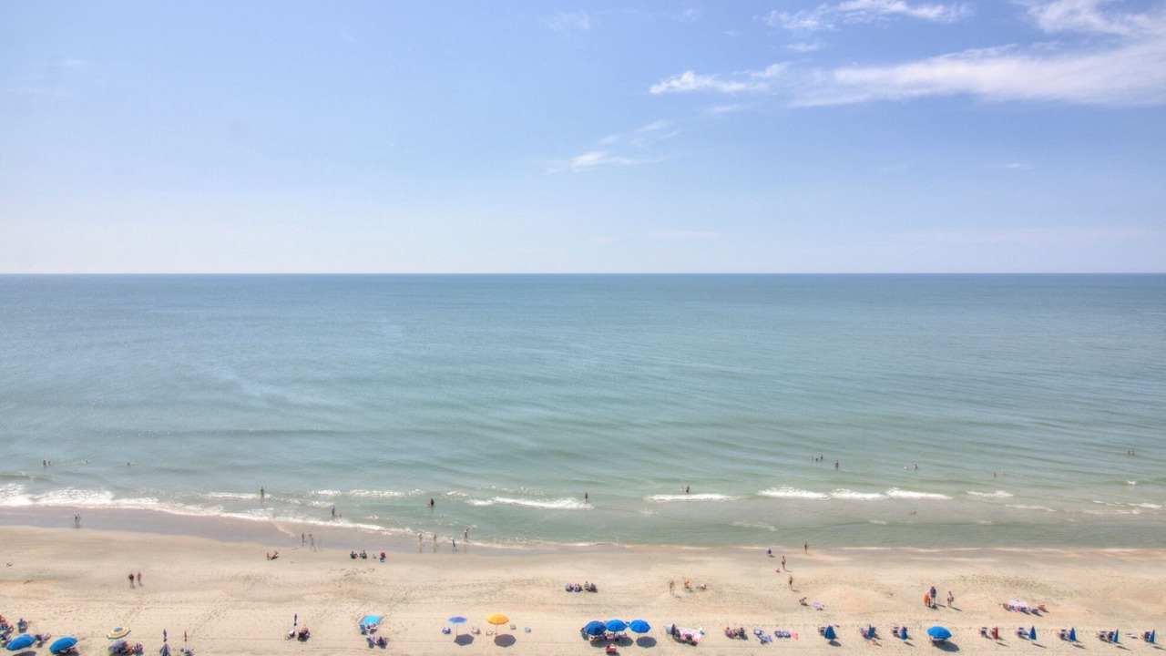Photo of Others in Arcadian Shores