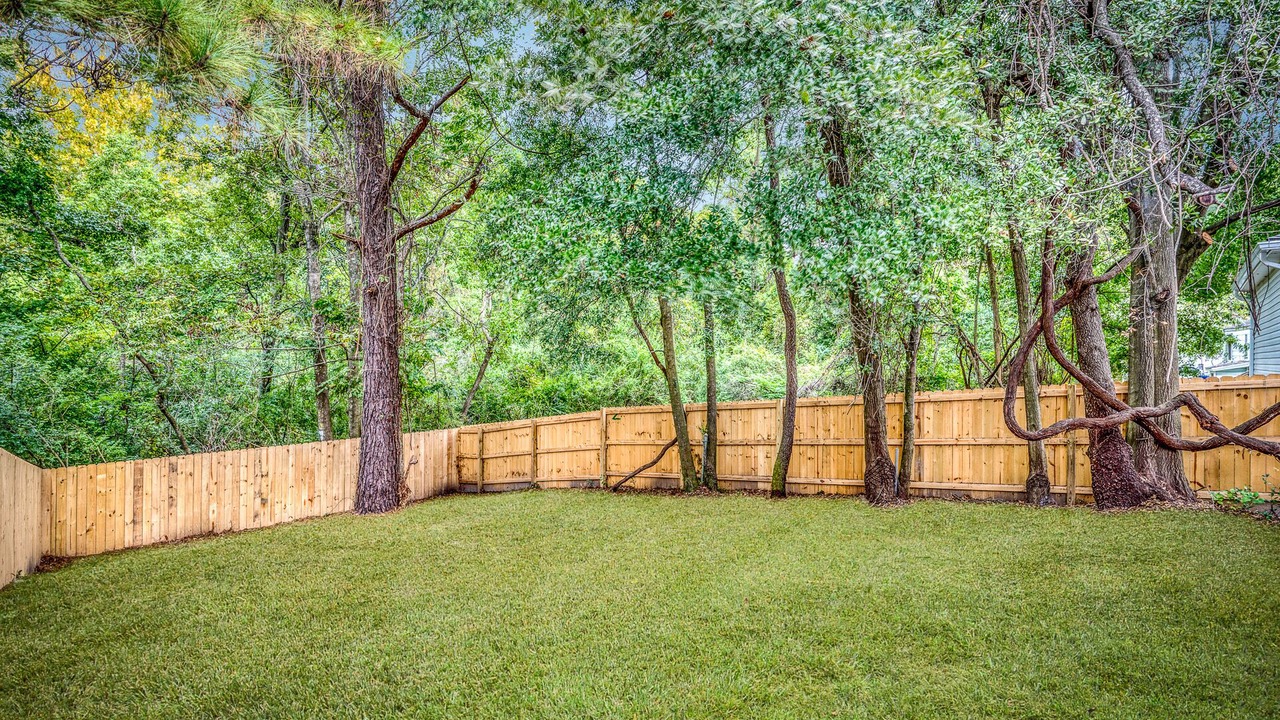 Photo of Outdoor in North Charleston