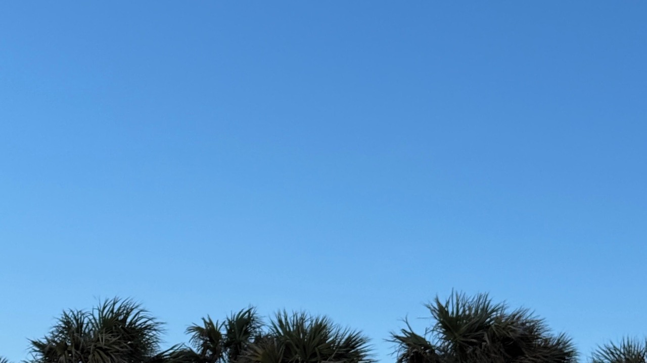 Photo of Others in Downtown Myrtle Beach