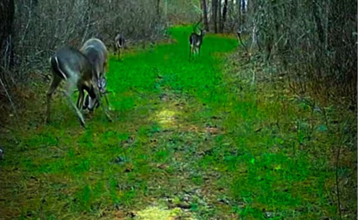 Photo of Others in Ruffin