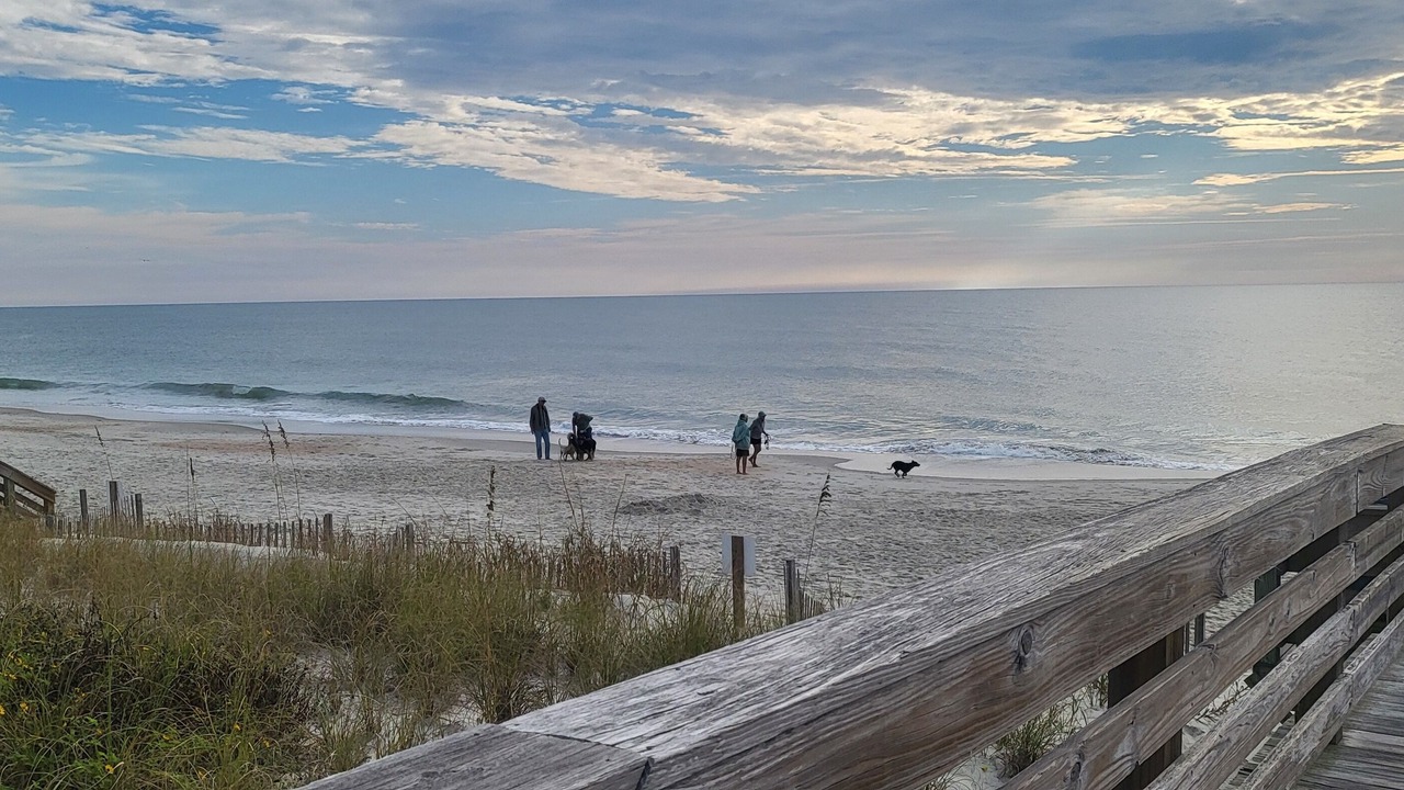 Photo of Others in North Litchfield Beach
