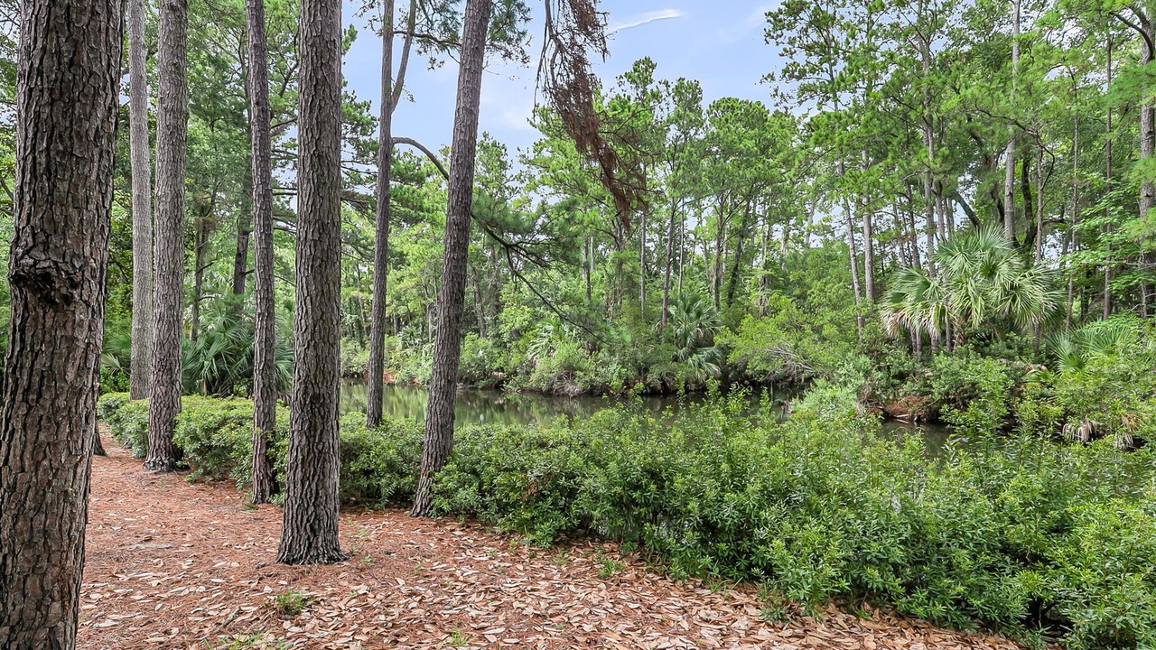 Photo of Others in Seabrook Island