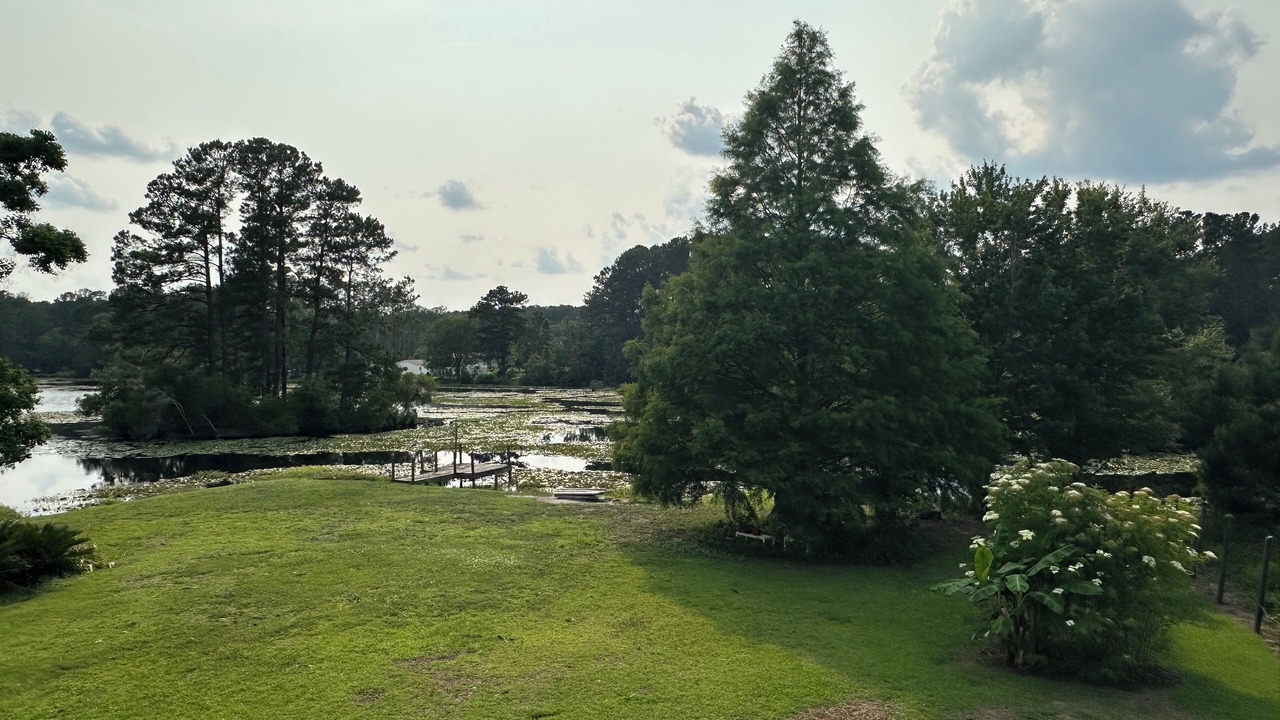 Photo of Others in Moncks Corner