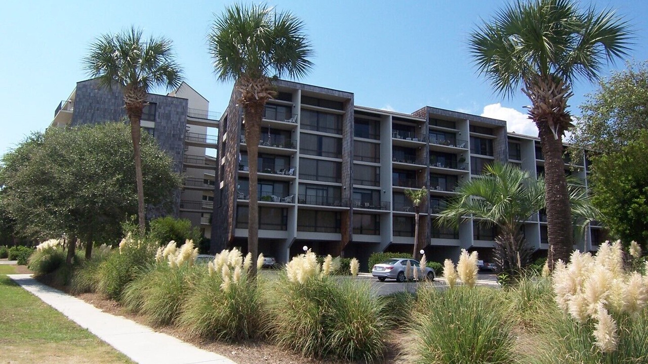 Photo of Others in North Litchfield Beach