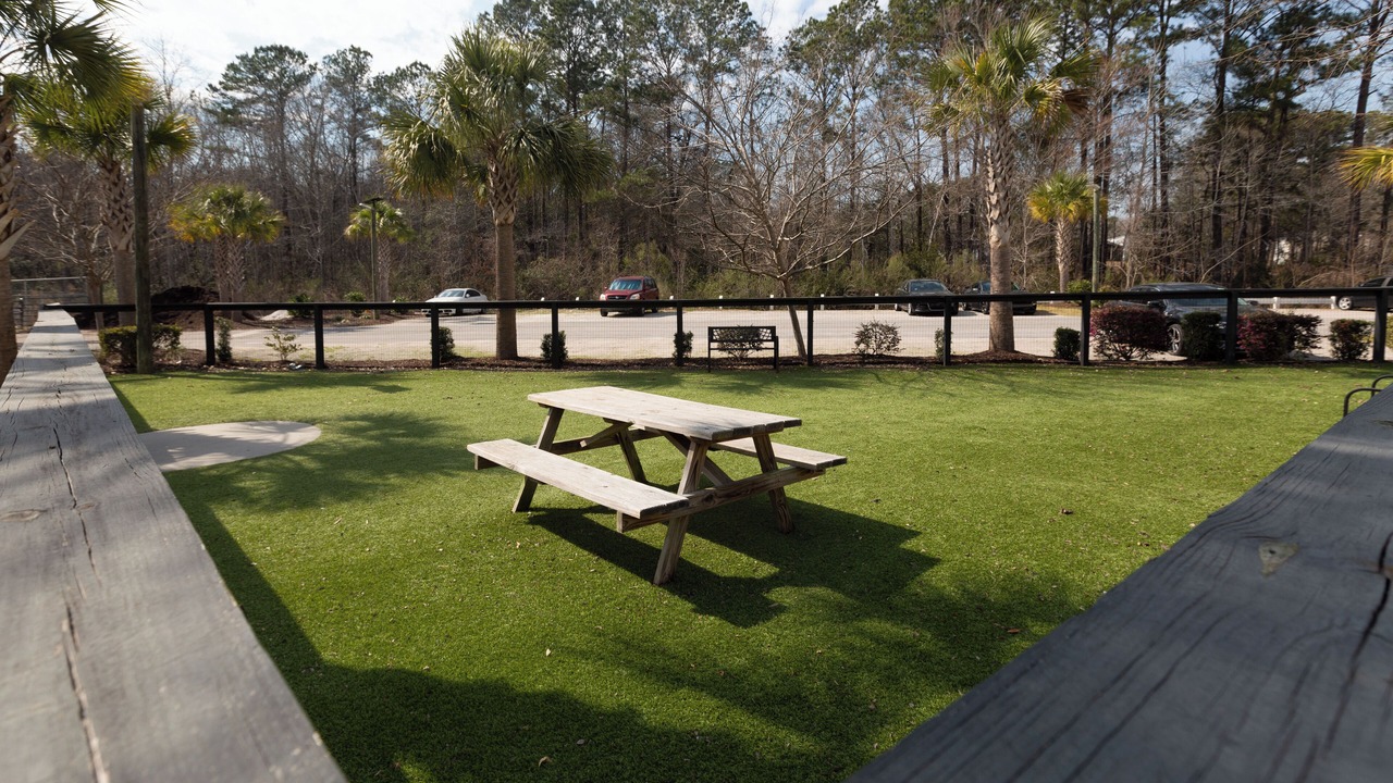 Photo of Outdoor in Goose Creek