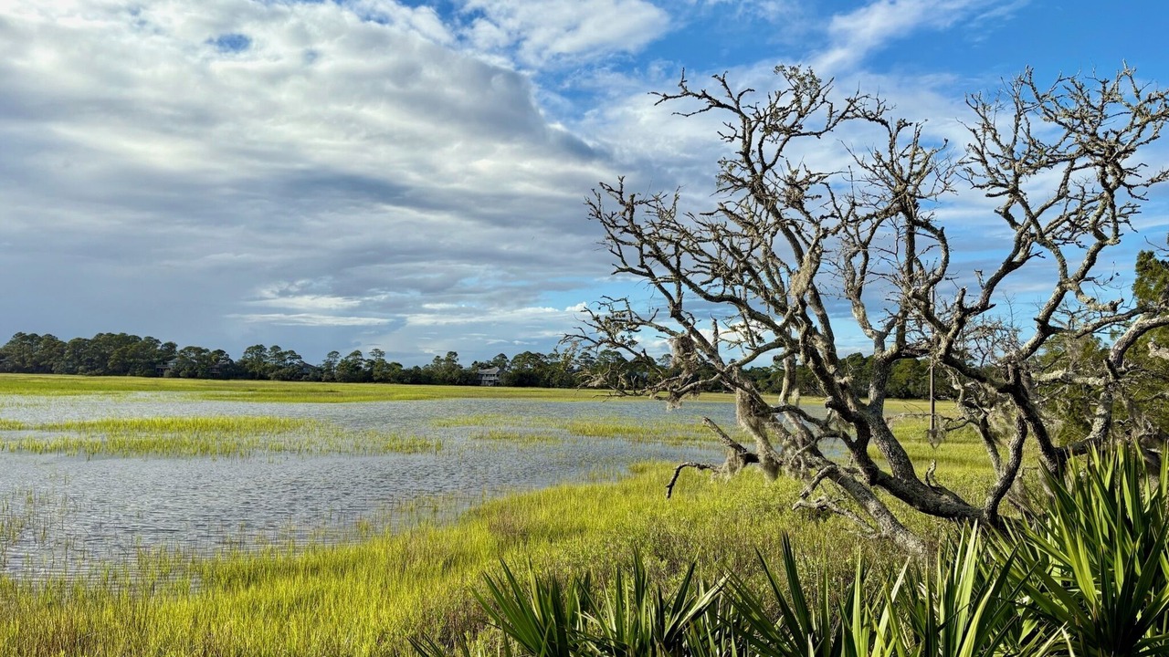 Photo of Others in Saint Helena Island