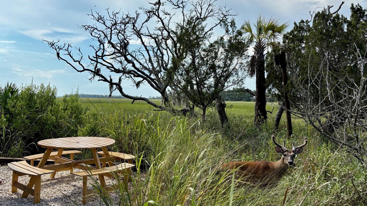 Photo of Outdoor in Saint Helena Island