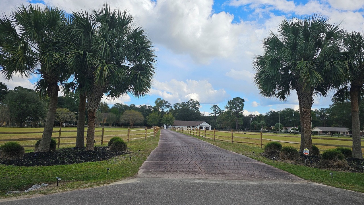Photo of Others in Socastee