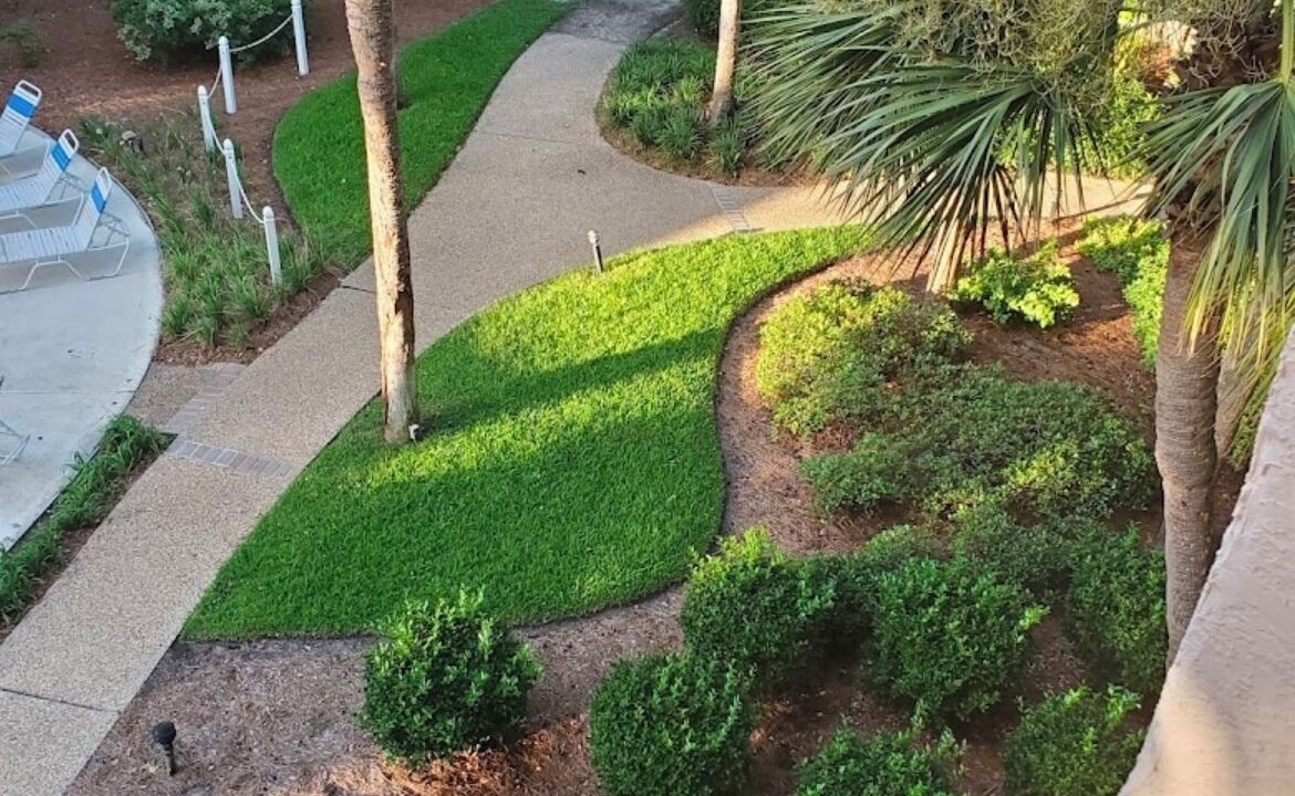 Photo of Outdoor in North Forest Beach