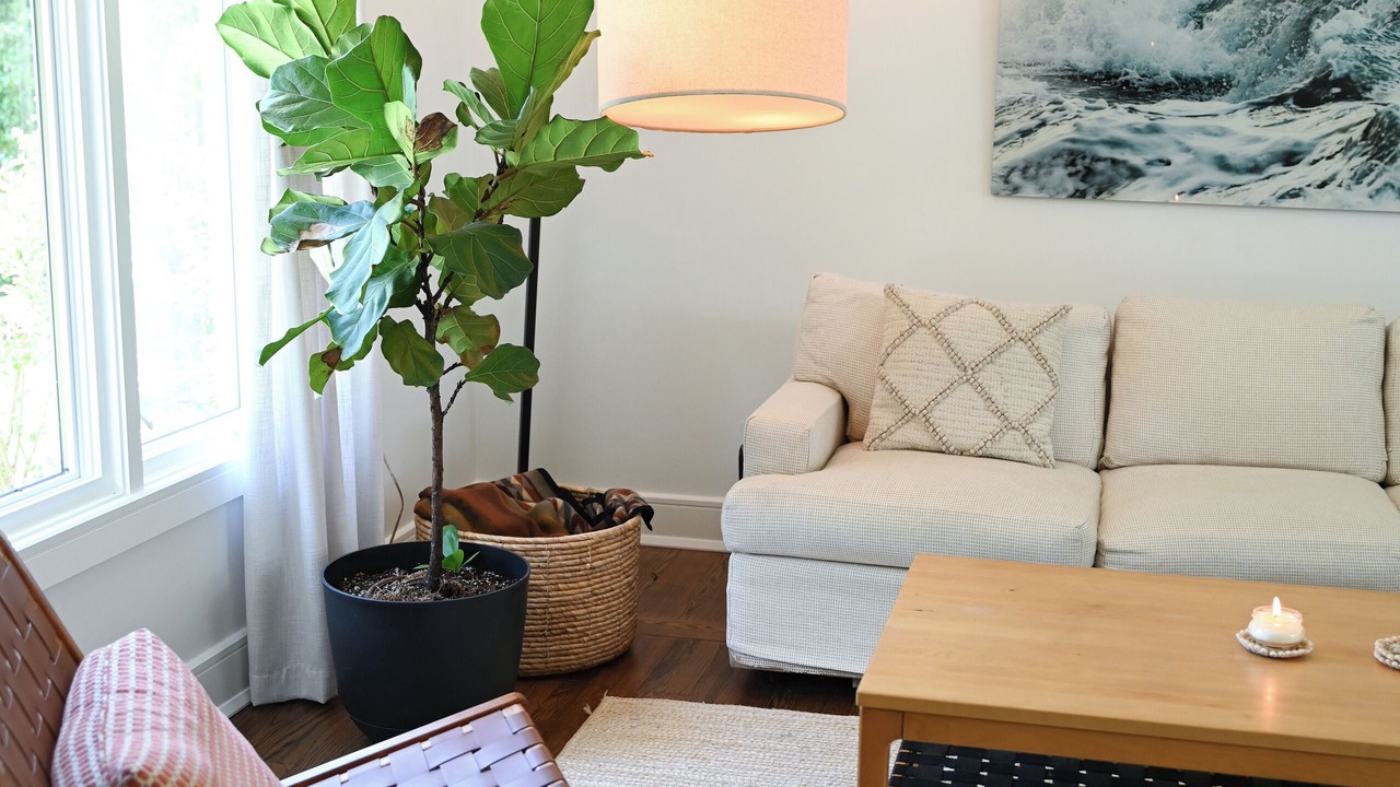 Photo of Livingroom in West Ashley