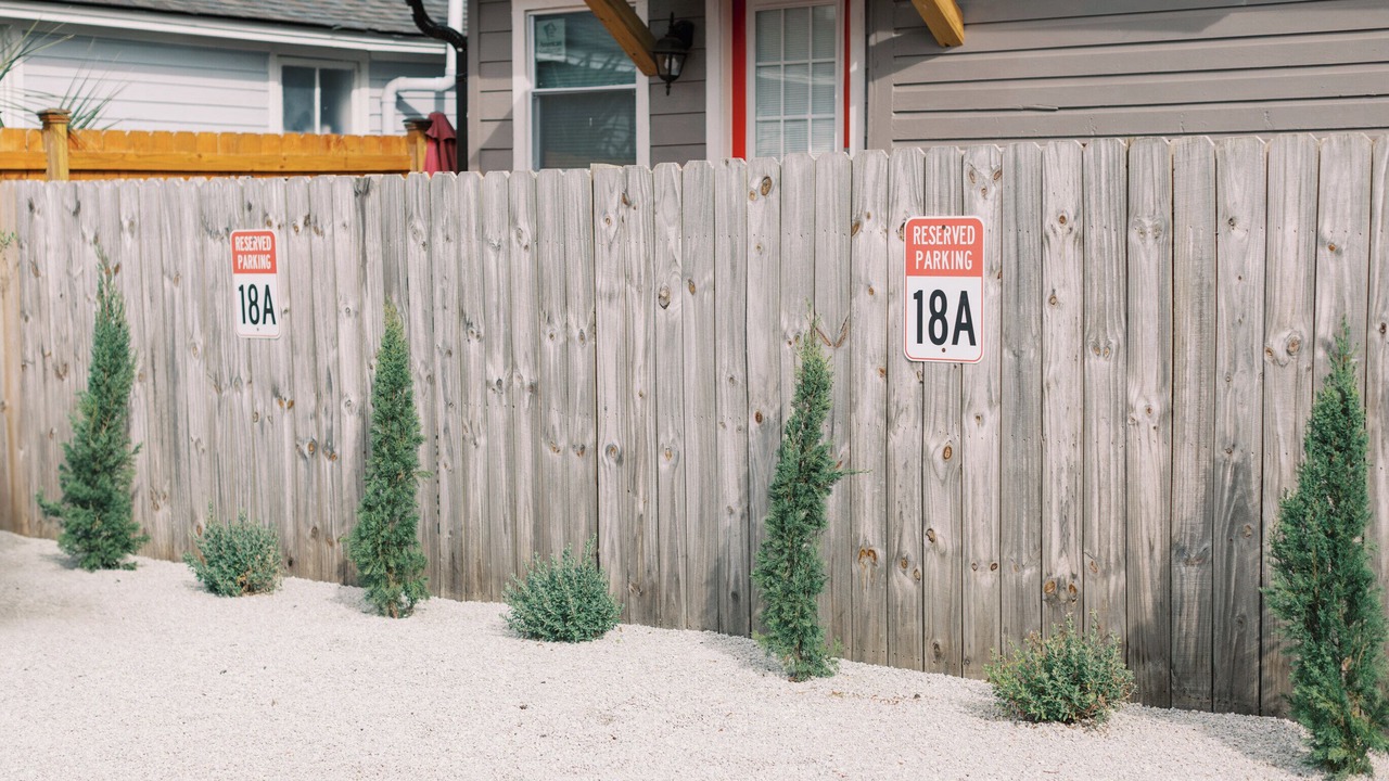 Photo of Outdoor in Downtown Charleston