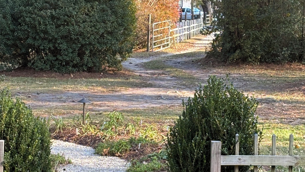 Photo of Outdoor in Ladson