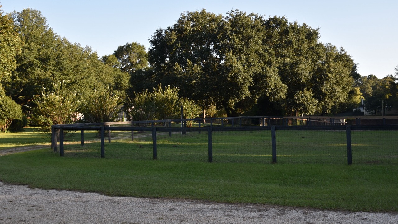 Photo of Others in Aiken