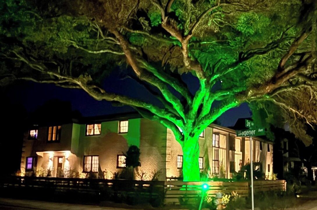 Photo of Outdoor in Charleston