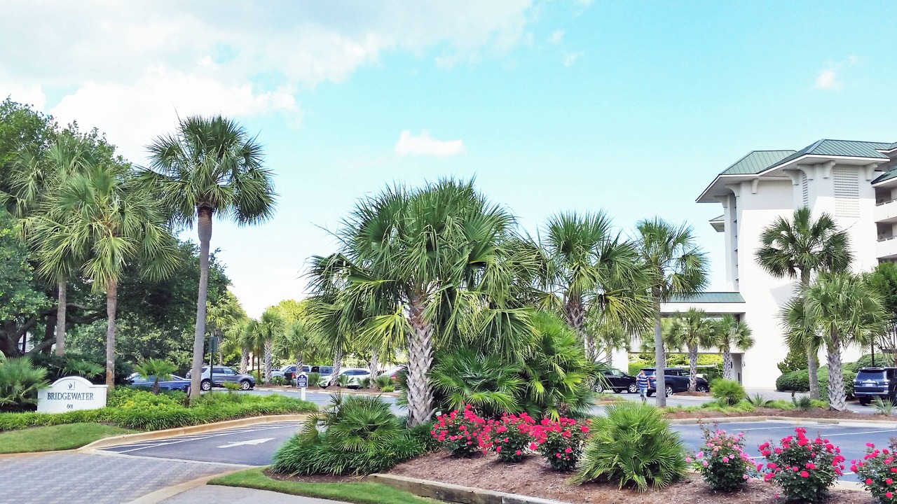 Photo of Outdoor in Litchfield by the Sea