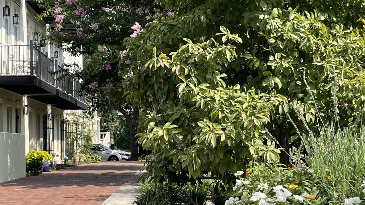 Photo of Outdoor in Radcliffeborough