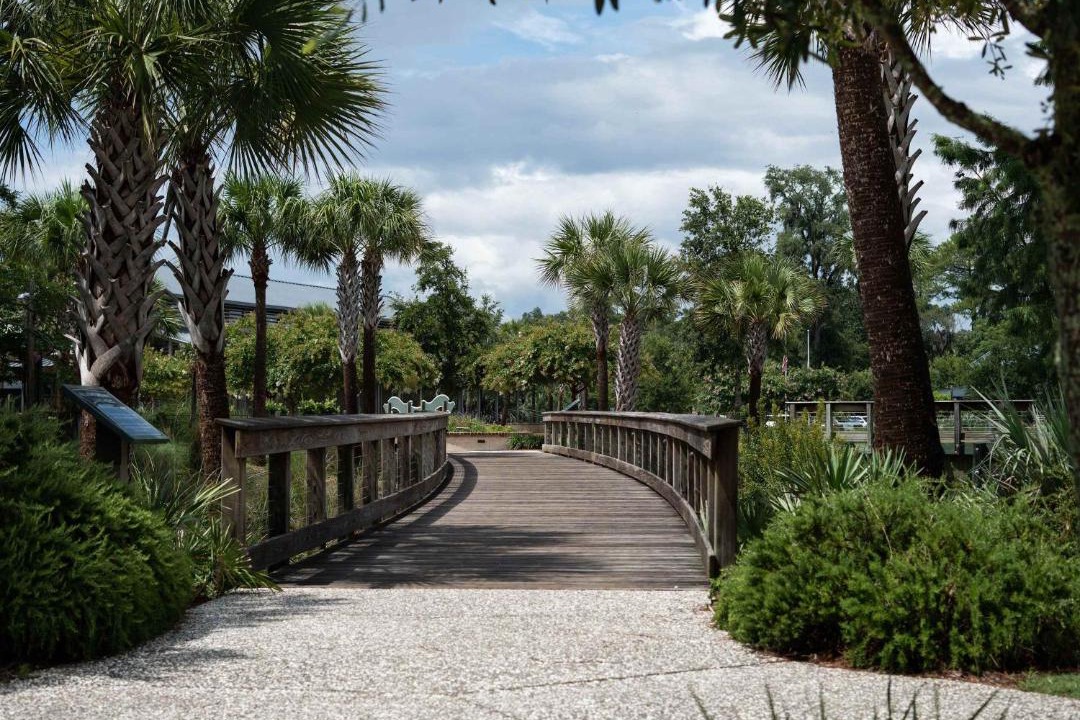 Photo of Others in Hilton Head Island