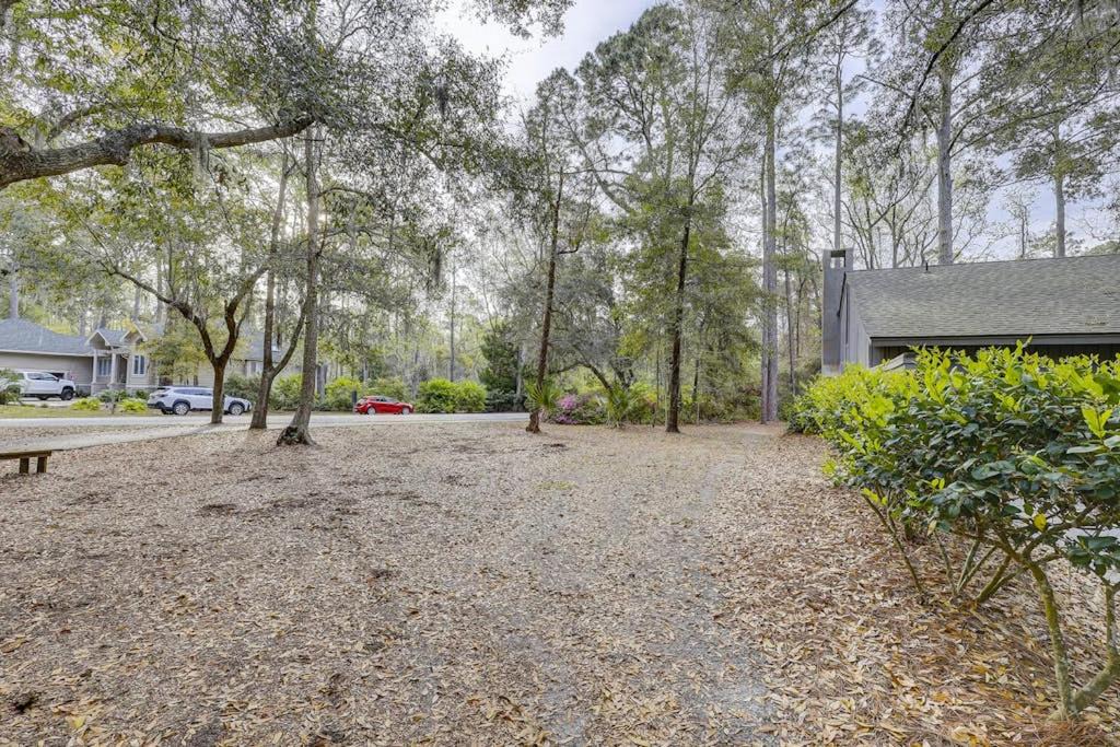 Photo of Others in Sea Pines