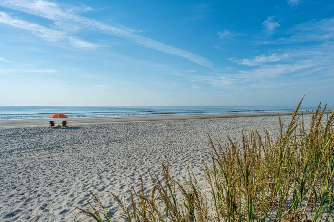 Photo of Others in Isle of Palms