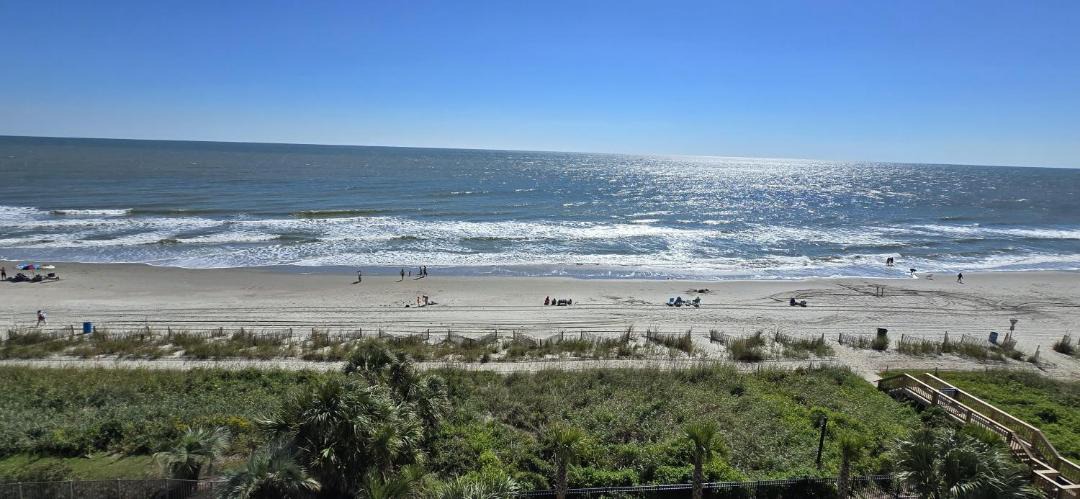 Photo of Others in Myrtle Beach