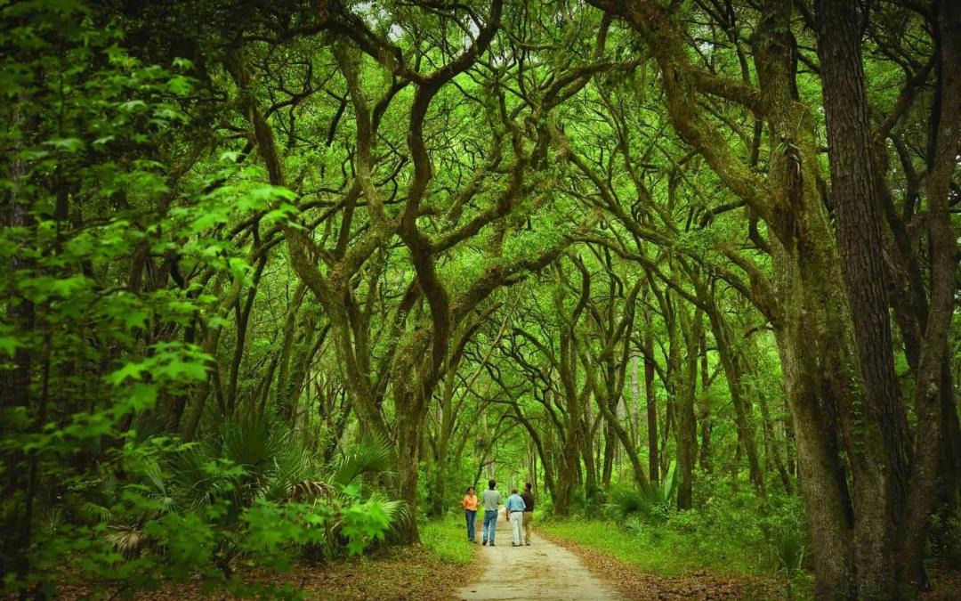 Photo of Others in Palmetto Bluff