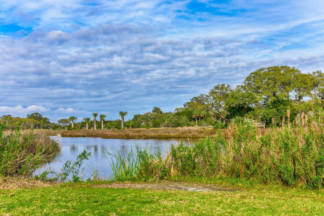 Photo of Others in Tarpon Pond