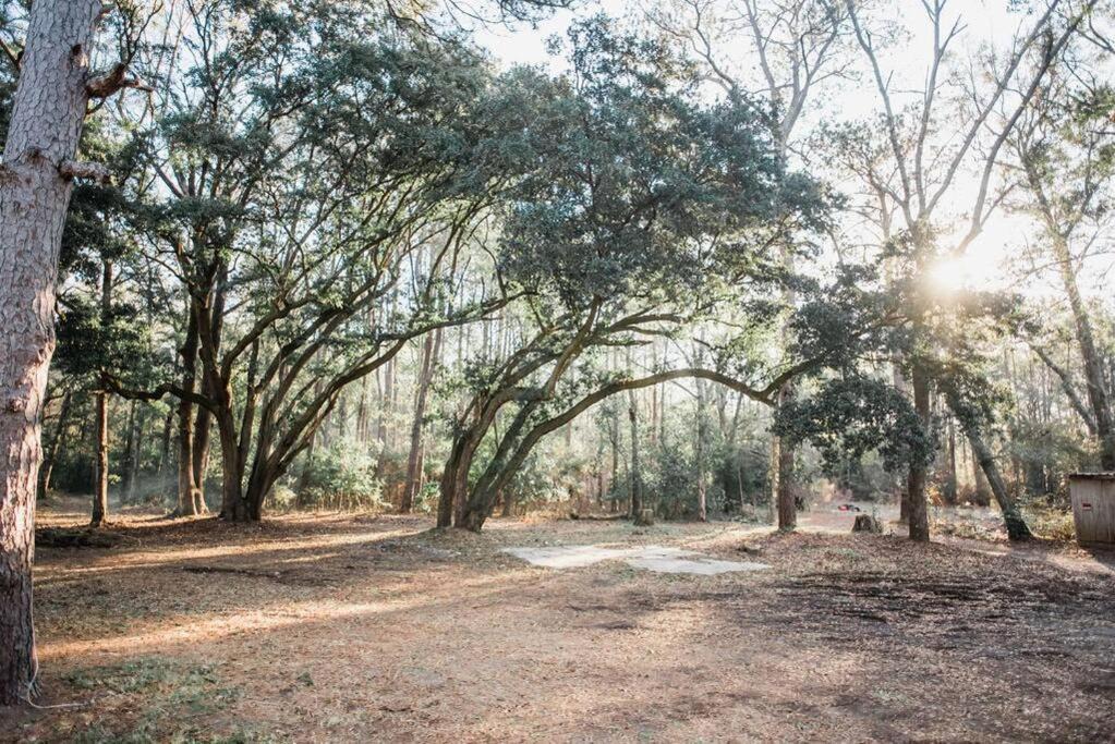 Photo of Others in Johns Island