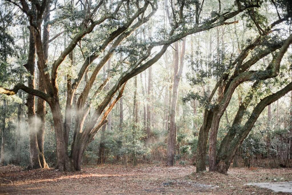 Photo of Others in Johns Island