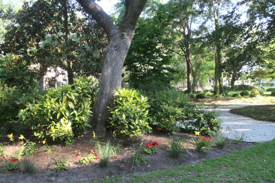 Photo of Others in Summerville