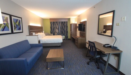 Suite, 1 King Bed with Sofa bed