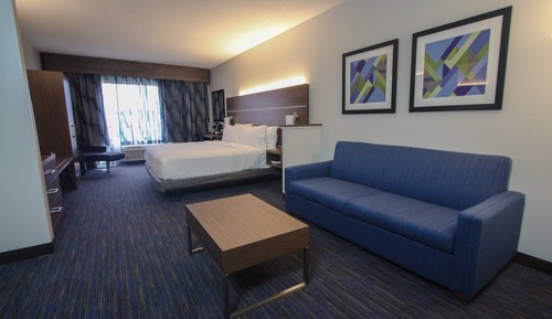 Suite, 1 King Bed with Sofa bed, Accessible