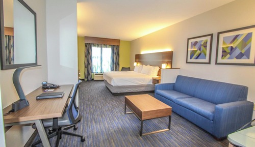 Suite, 1 King Bed with Sofa bed