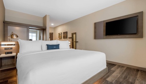 Room, 1 King Bed, Accessible, Non Smoking (Roll-In Shower)