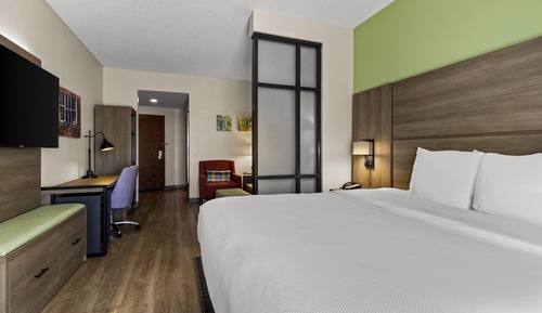 Suite, 1 King Bed with Sofa Bed, Accessible, Non Smoking