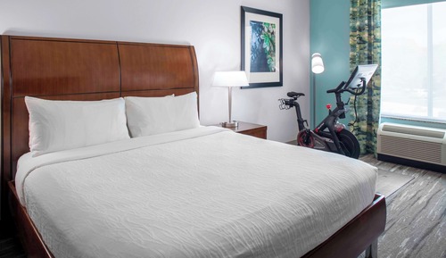 Room, 1 King Bed, Accessible (Roll-In Shower, with Peloton)