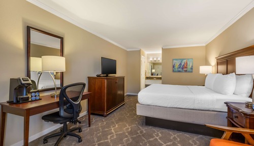Standard Room, 1 King Bed, Smoking, Refrigerator & Microwave