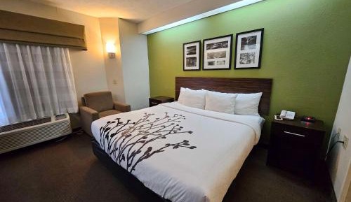 King Room - Mobility Accessible with Bathtub