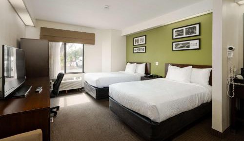 Double Room with Two Double Beds