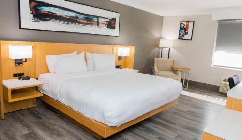 King Guest Room