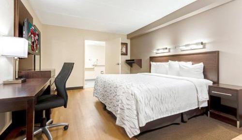 Deluxe King Room Disability Access Roll-ln Shower Smoke Free
