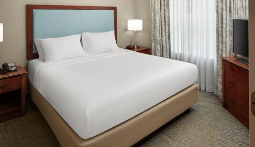 One-Bedroom Queen Suite