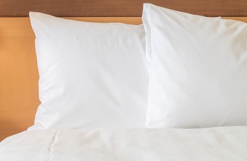 North Charleston Hotel | Holiday Inn Express & Suites Charleston - Northwoods by IHG