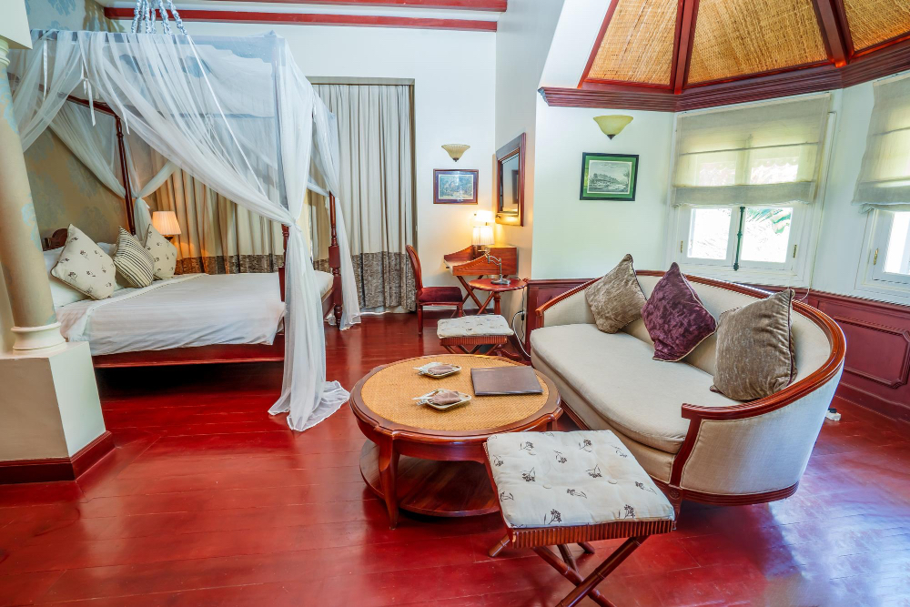Cannonborough Elliotborough Bed & Breakfast | Ashley Inn Luxury Queen Suite circa 1852 B&B in heart of downtown 4 blocks from King - hosted by CVP
